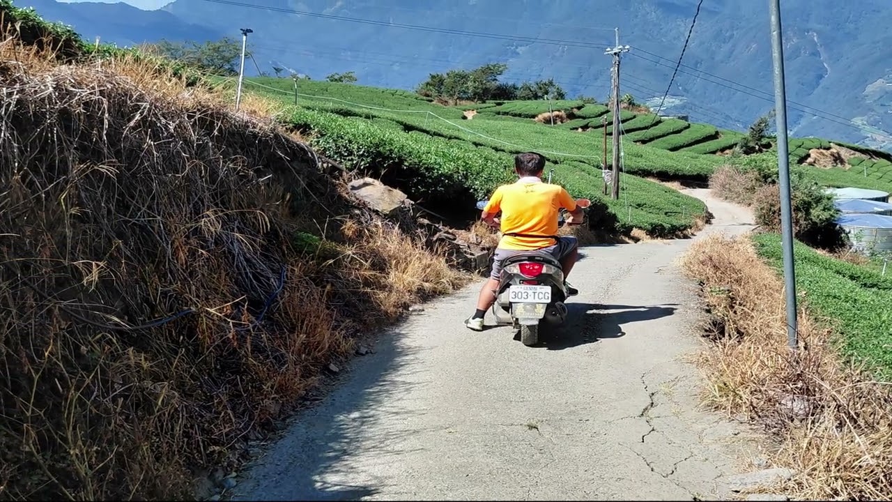 翠峰派出所至梨山馬拉松4K~戀戀超馬