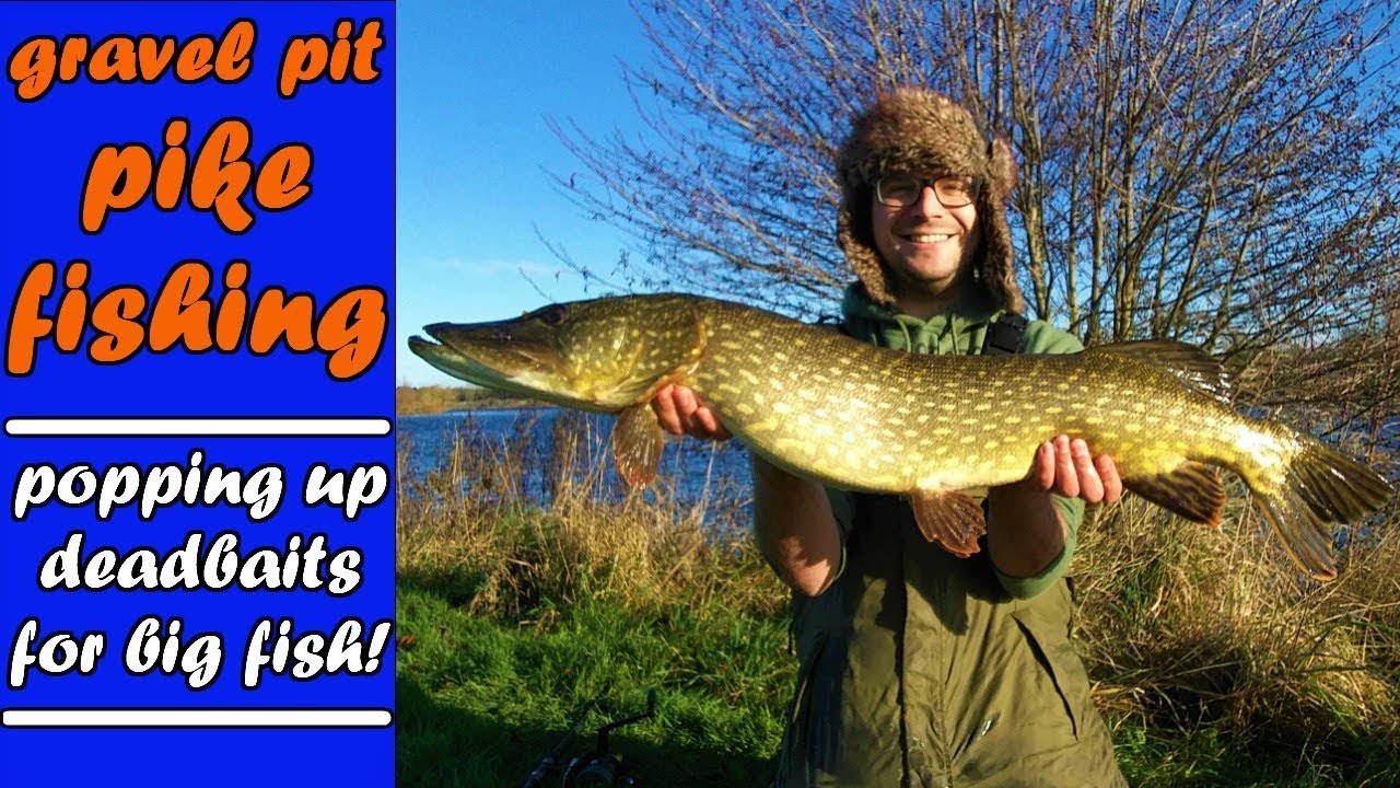 PIKE FISHING|popping up deadbaits for BIG gravel pit PIKE!
