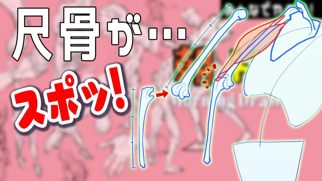 肘の形はこれで覚える　朝ドロ#88　着衣ドローイング 【初心者歓迎】Description of the elbow joint and ulna.