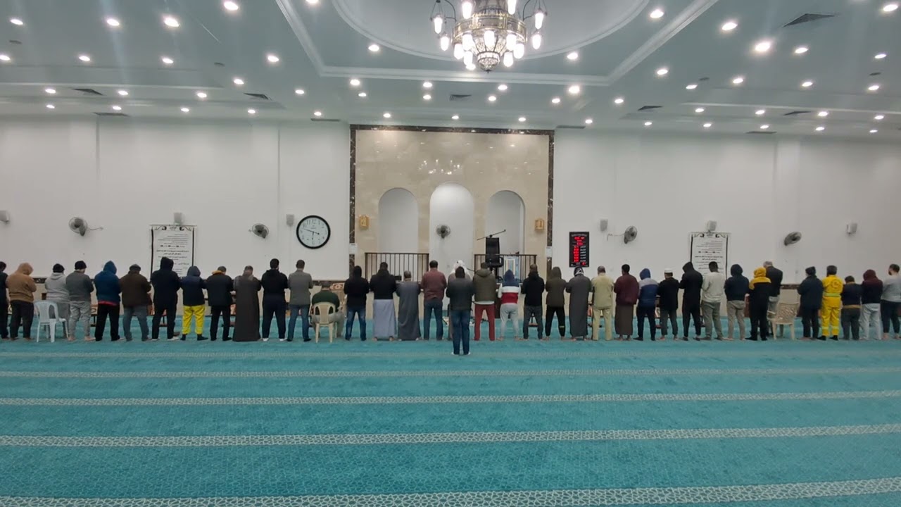 استمتع بتلاوة هادئةصوت جميل صلاة الفجر السبت الموفق 31 يناير 2026 فضيلة الشيخ الدكتور ابو عبدالله