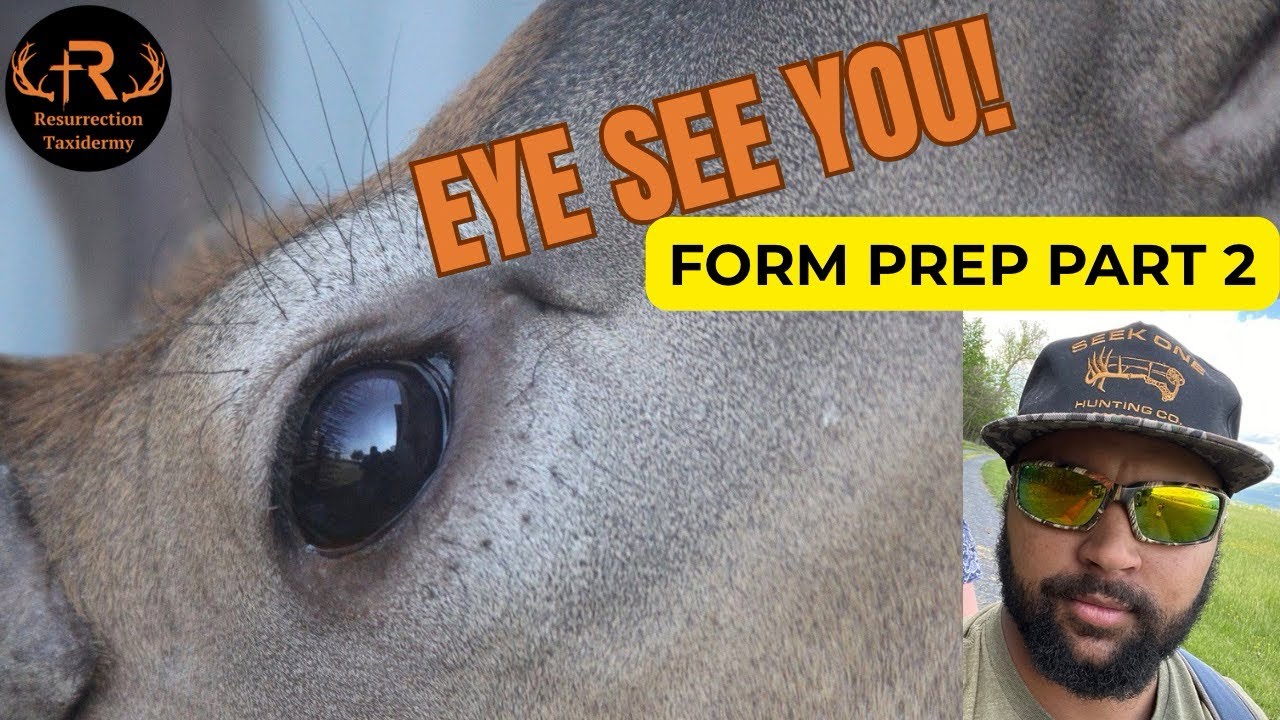 Eye See You! #resurrectiontaxidermy #taxidermy #wildlife #deer #hunting #nature #viralvideo #god