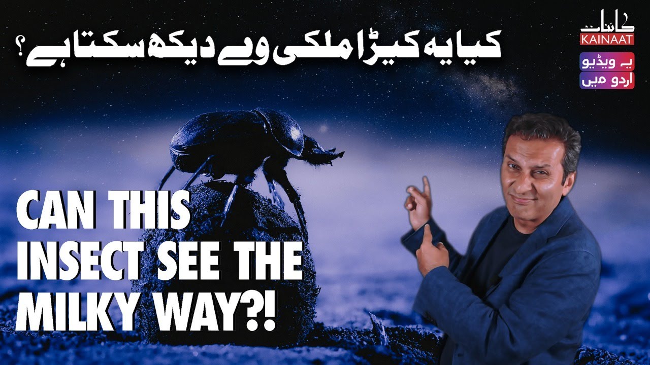Can this Insect see the Milky Way? | Urdu/Hindi | Kainaat Astronomy in Urdu