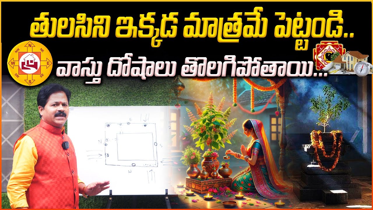 తులసిని ఇక్కడ మాత్రమే పెట్టండి..వాస్తు దోషాలు తొలగిపోతాయి | Vasthu For Tulasi Tree | Domala Nagendra