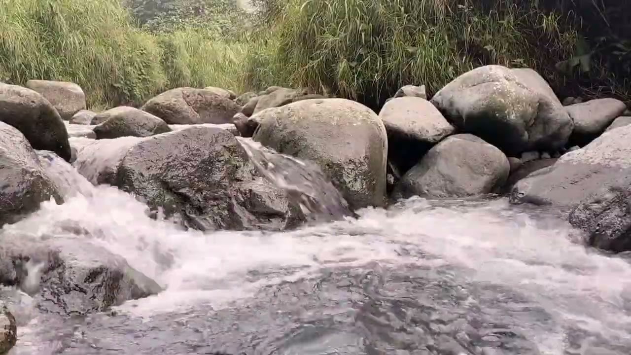 Rainforest Stream for Peaceful Sleep