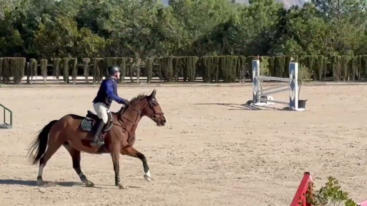 Alfonso y Chili Z 🌶 . V2 Liga Comunidad Valenciana. Aros Murcia. 31-1-2026.1.15m