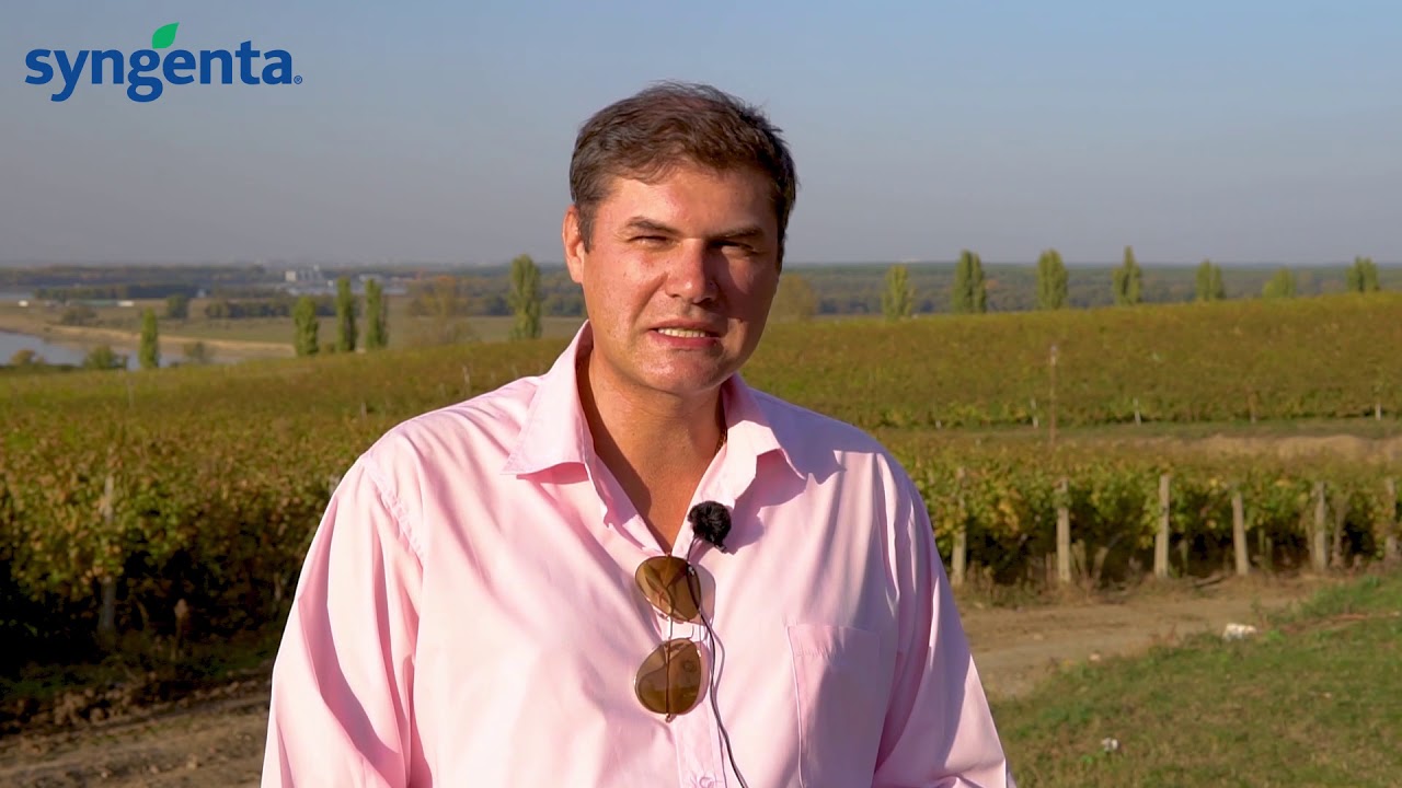 Experiența Ostrovit cu produsele Syngenta, pomicultură, viticultură