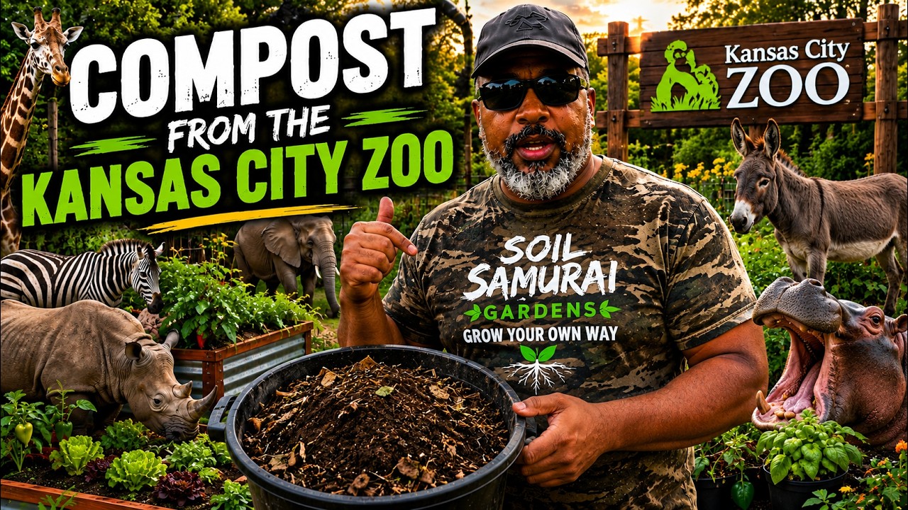 Compost from the Kansas City Zoo