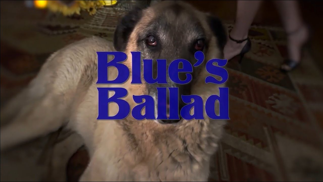 Them Lasses & The Old Dogs - Blue's Ballad (Official Music Video)