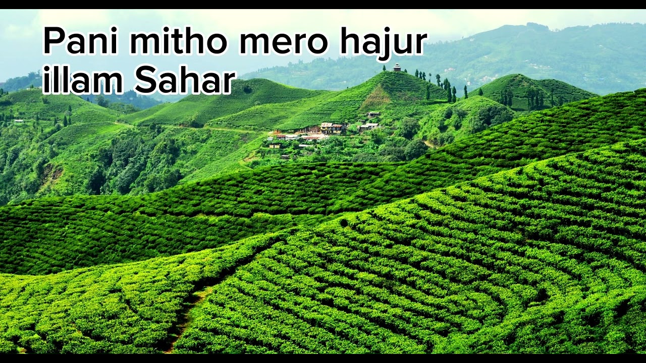 Old Is Gold Nepali Old Song / Pani Mitho Mero Hajur / Audio Songs Only