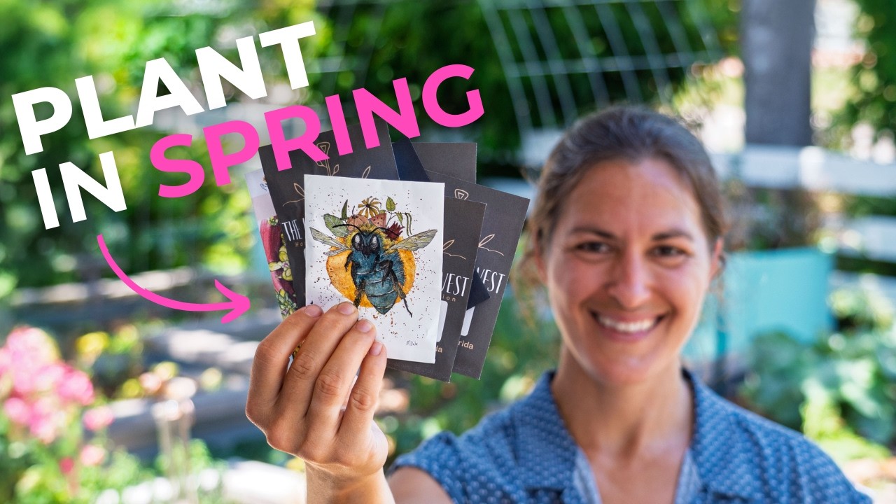 What To Plant In Spring - The Hot Dry Season