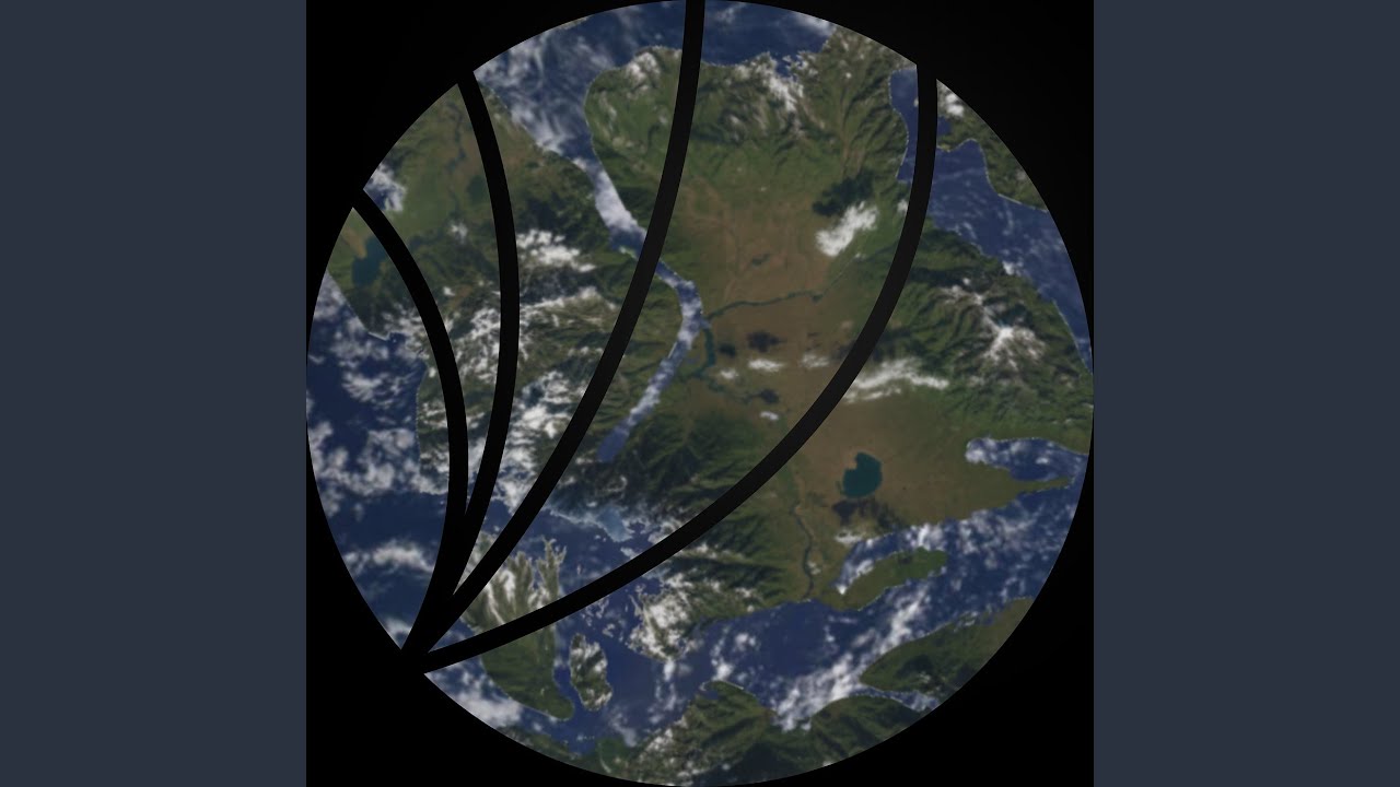 Conifera