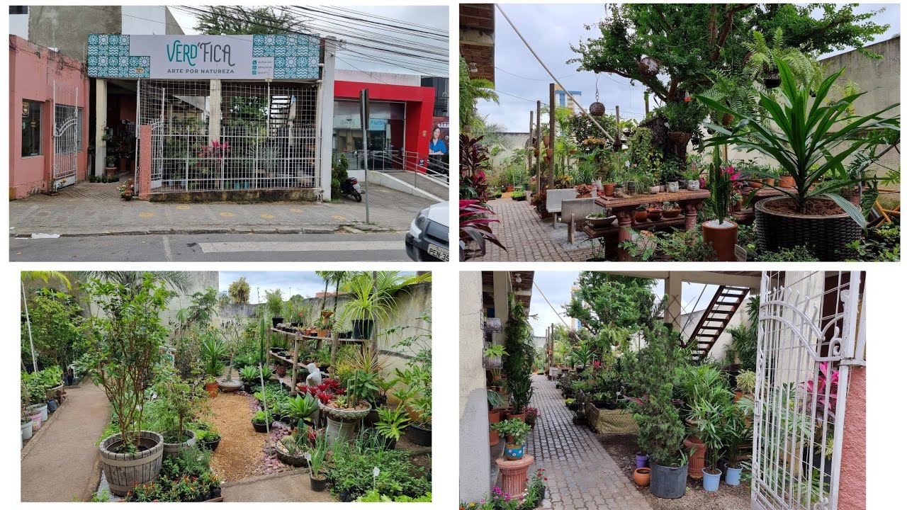 Plantas na Verd'fica em Caruaru