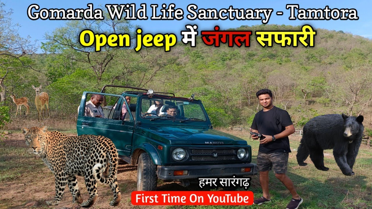 Gomarda Wild Life Sanctuary | गोमर्डा अभ्यारण्य में जंगल सफारी | First Time On YouTube