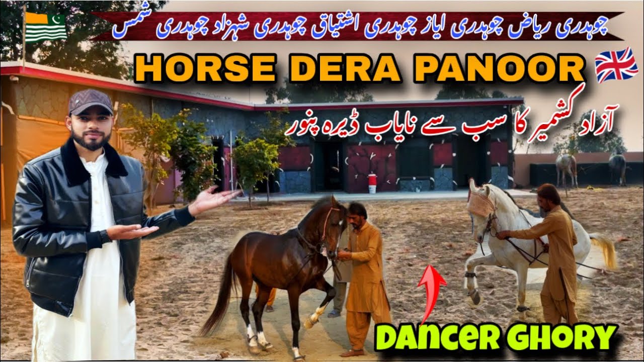 Horse Dera in Panoor💁🏻/آزاد کشمیر کا سب سے نایاب ڈیرہ😱/Dancer Aur Neza Baaz Ghory Uk walu ka Shonk🇬🇧