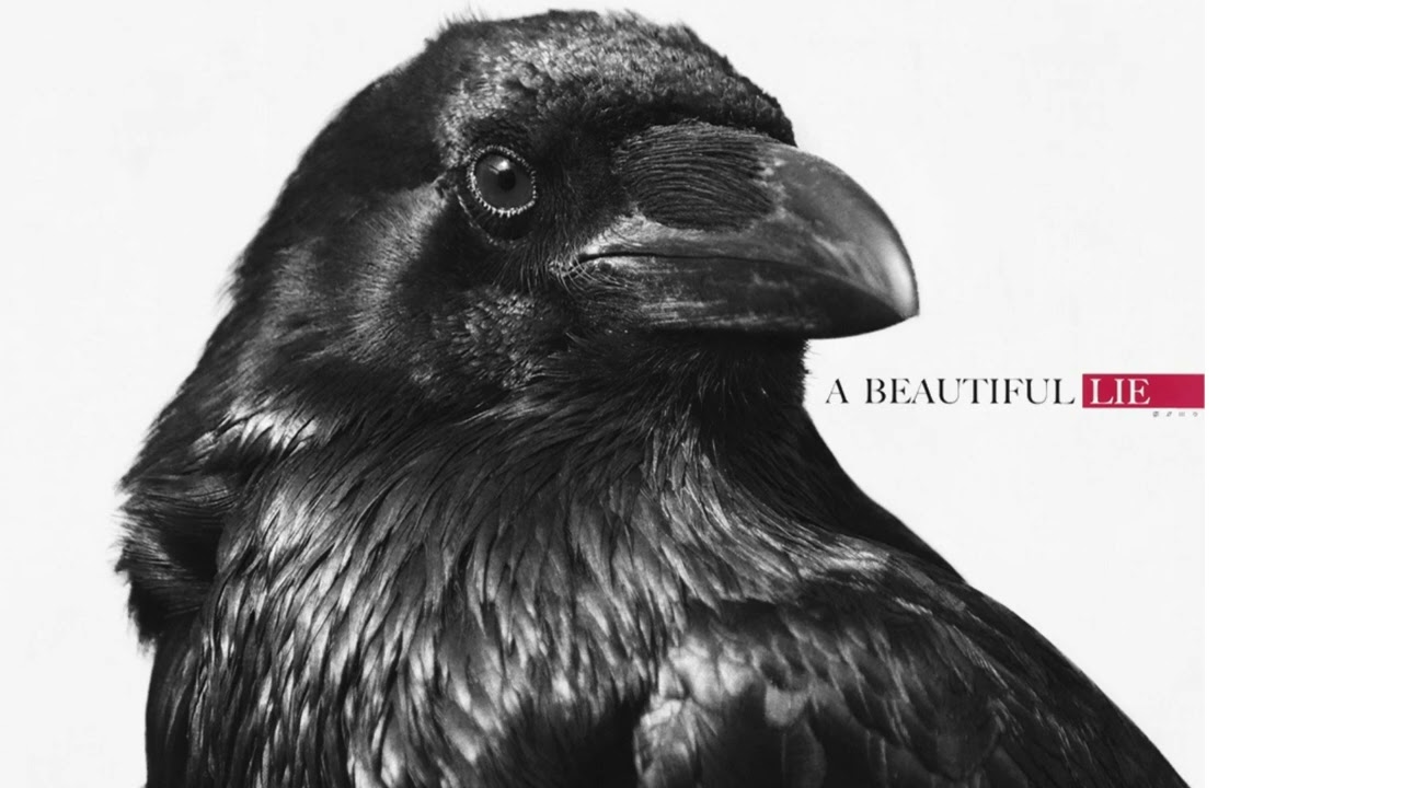 bomjorno - beautiful crows | mashup