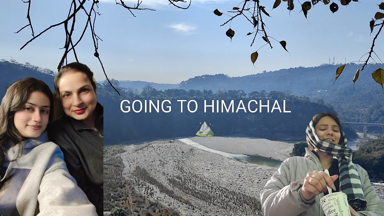 I Traveled to the mountains for a Wedding! (Himachal Vlog)