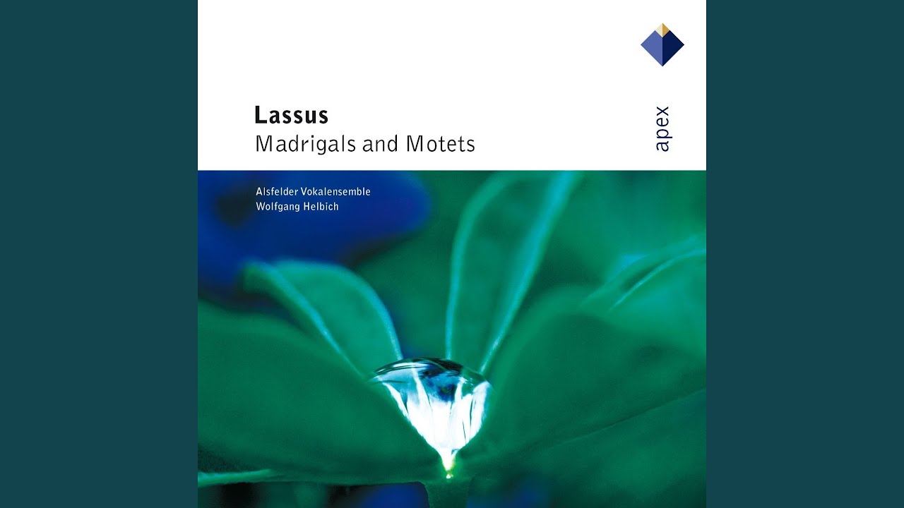 Lassus : 