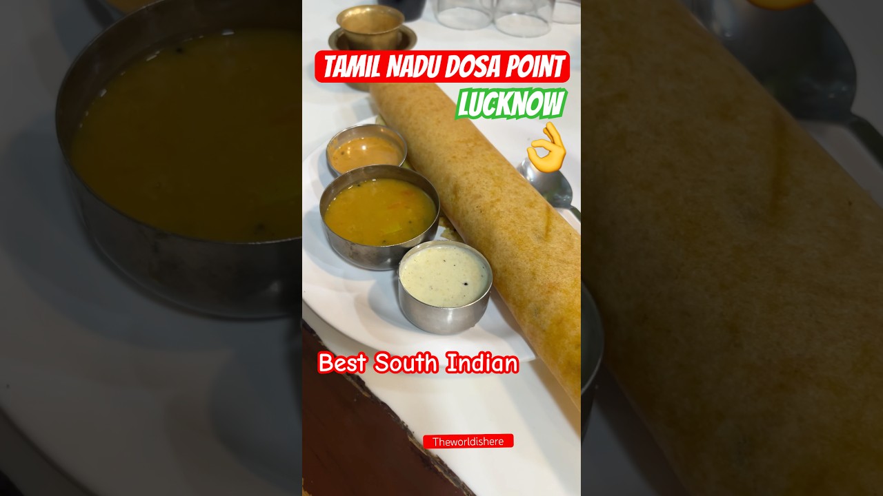Tamil Nadu Dosa point Lucknow | Best South Indian food in Lucknow |#trending #southindianfood #viral