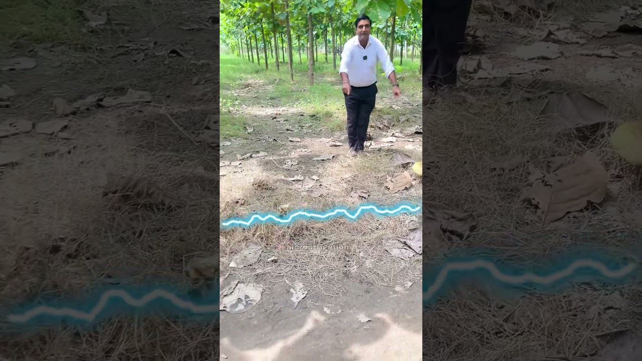 Underground Drip Irrigation system
