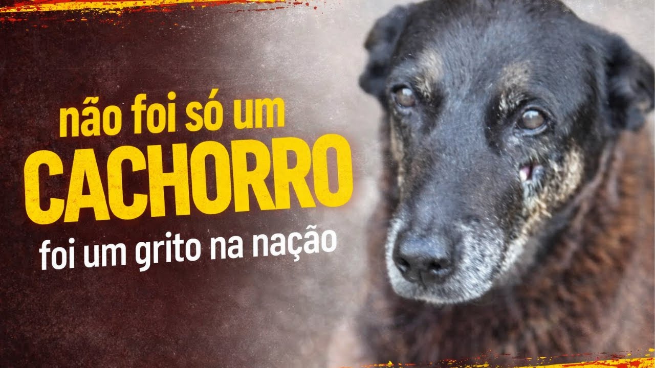 Justiça por Orelha