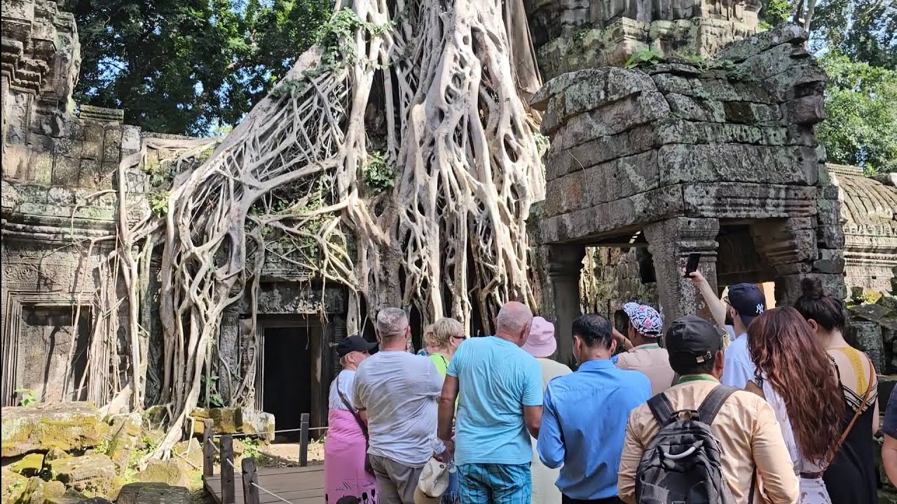 ប្រាសាទតាព្រហ្មឬប្រាសាទរាជវិហាគឺជាប្រាសាទដ៏ស្រស់ស្អាតបំផុតនៅក្រុងអង្គរ🏯🌸🌺💚💚