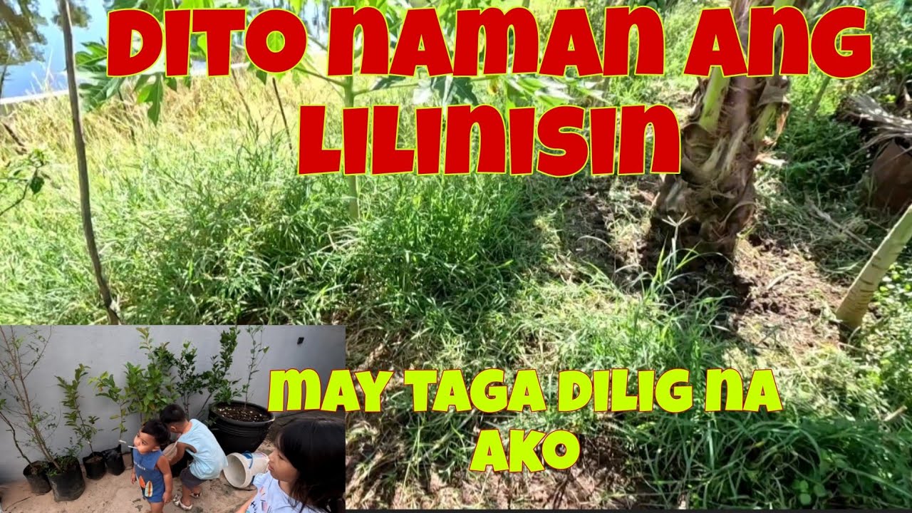 May pwesto na ang mga halamang bago | Di natoy ang pag linis sa kabilang side na taniman