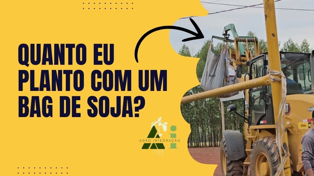 Quanto eu Planto com um Bag de soja?