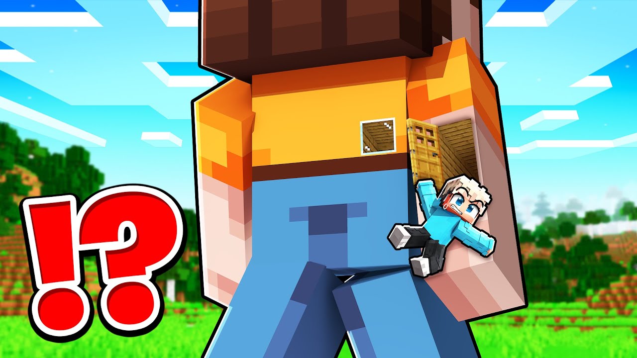 Wie Lumi ein HAUS in Dilly's ARM GEBAUT HAT in Minecraft!
