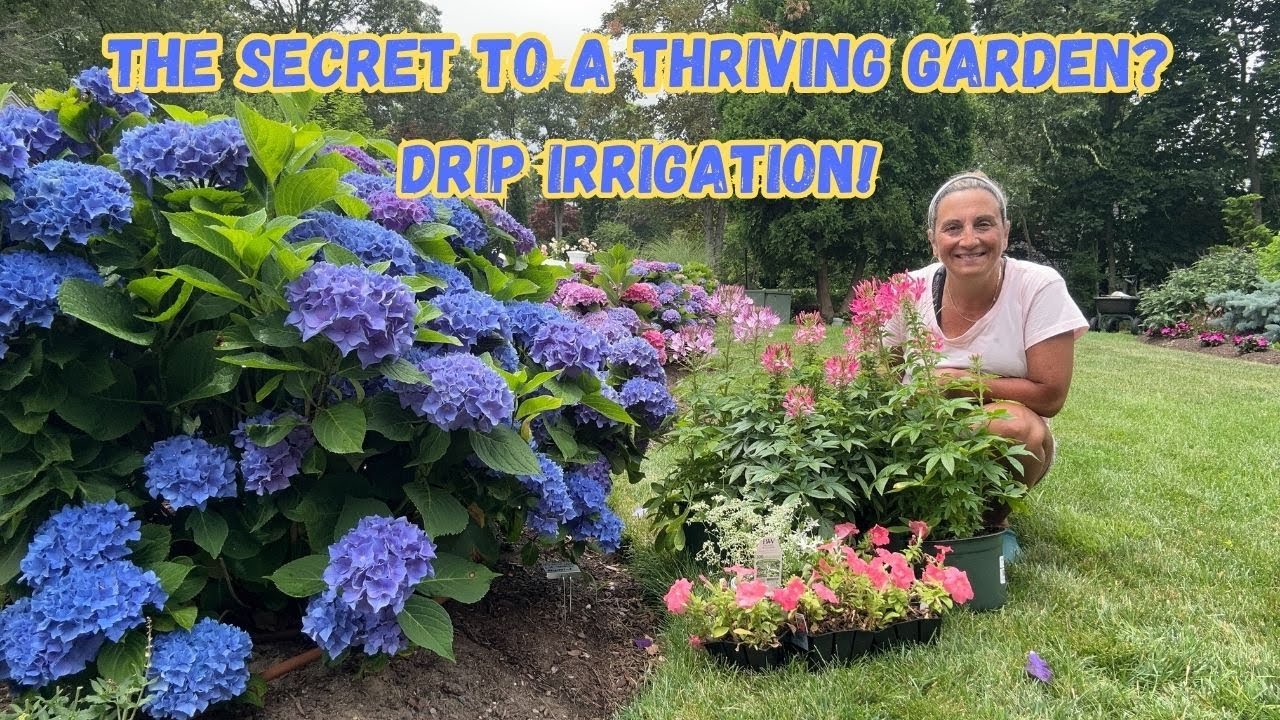 The Secret to a Thriving Garden??? Drip Irrigation!  It's EASY!🌸