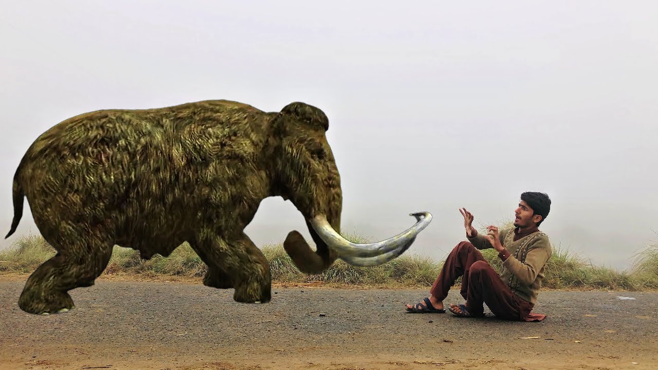 Elephant Attack On The Village Boy😱😐🙄 || Horror Short Movie