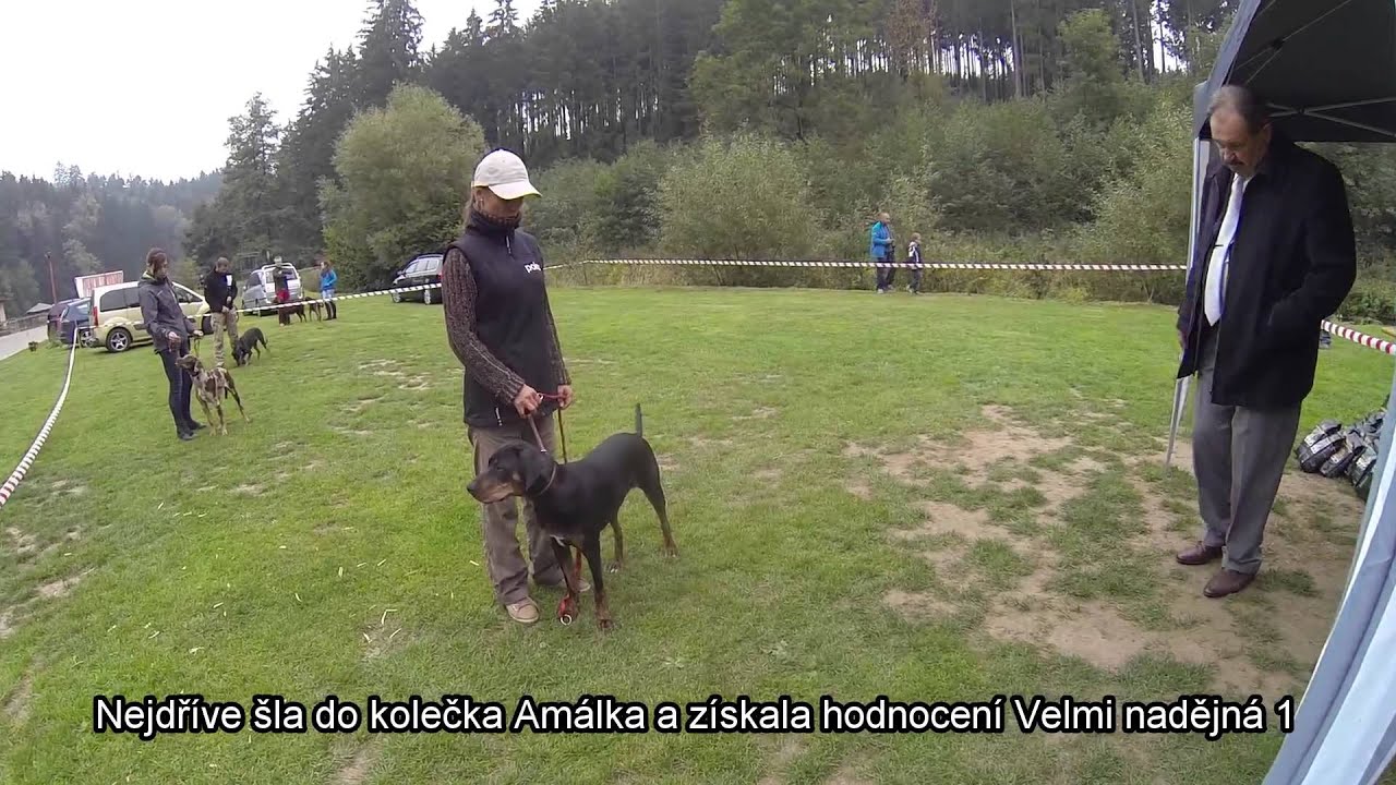 Klubová výstava Catahoula Club EU