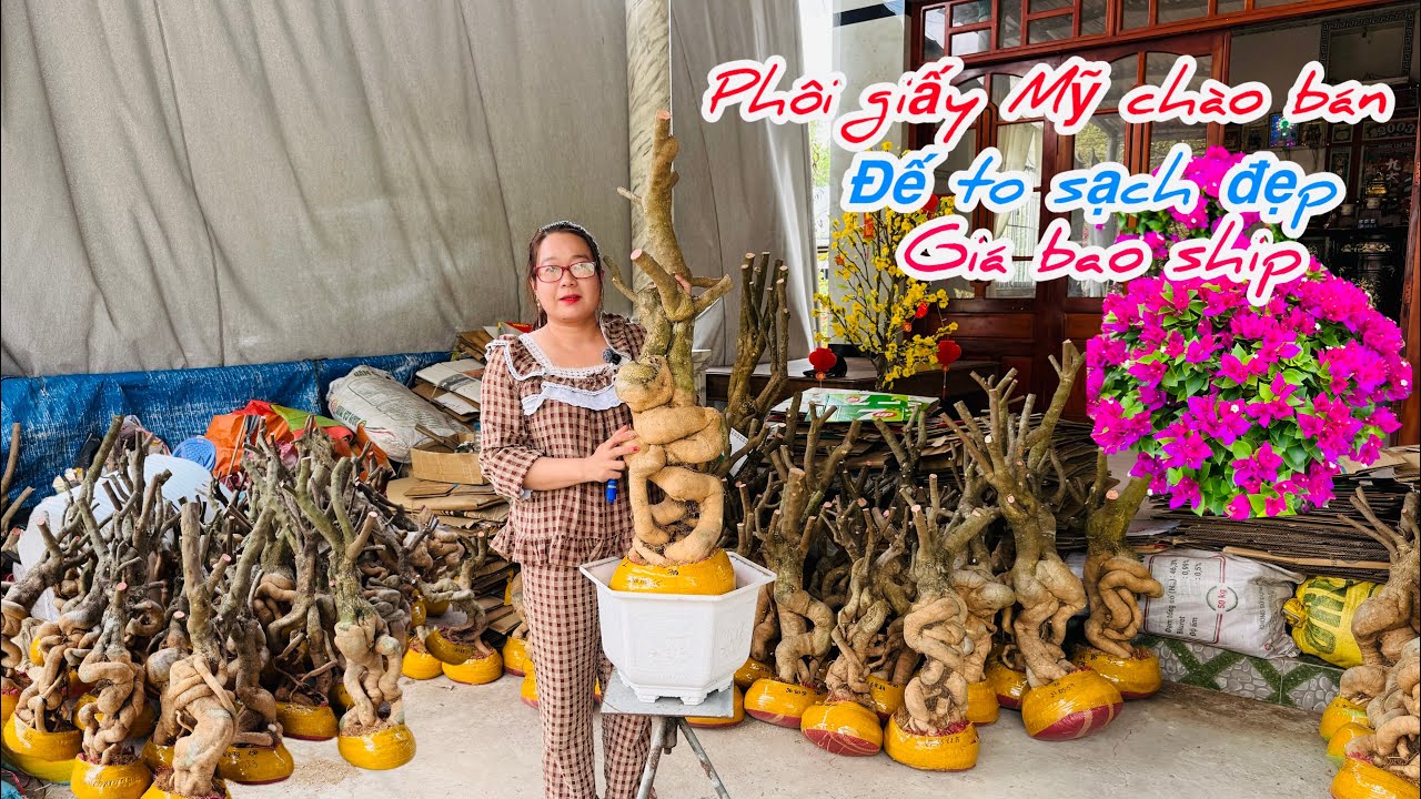 Phôi giấy Mỹ đế to sạch đẹp chào bán bao phí ship..28/02😘📲 0772.119.600.Quỳnh-Như 