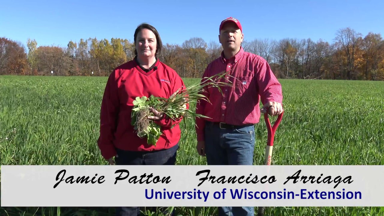 Cover Crop Selection and the Effects on Your Soil