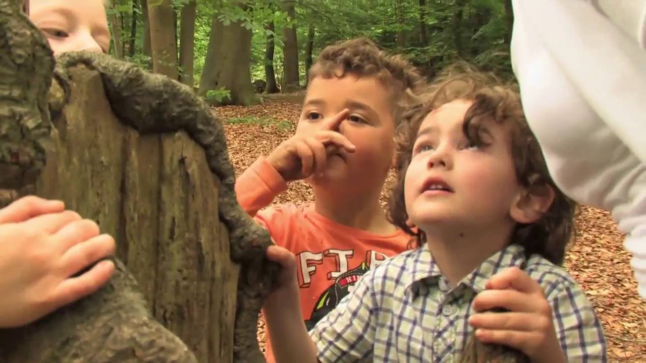 Entdeckungreise Bewegung - Kindern Bewegung ermöglichen