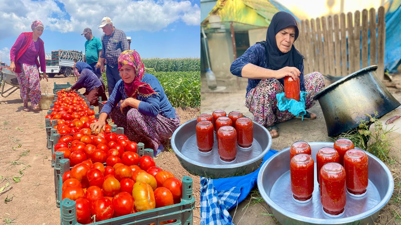 KÖYDE CAM KAVANOZLARDA SAKLANAN 1 YIL SONRA ODUN ATEŞİNDE DOMATES KONSERVE YAPIMI | village life