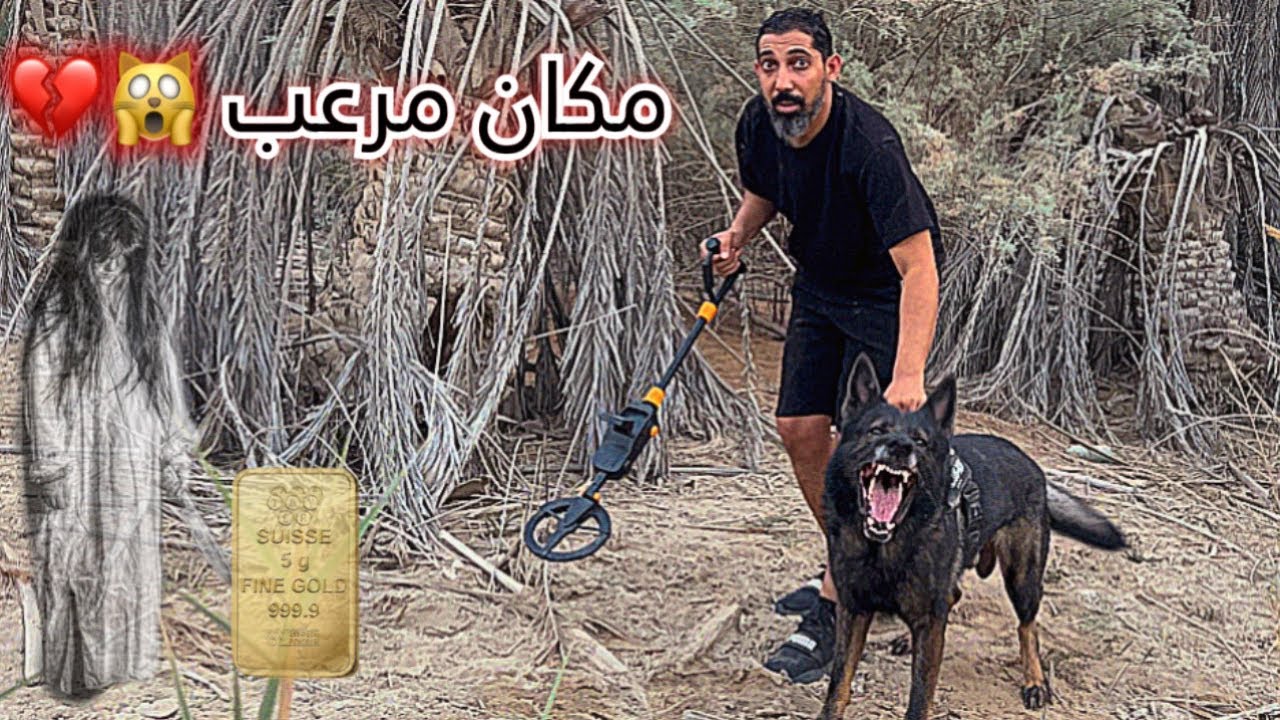 البحث عن كنز الساحره المفقود بمزرعه مهجوره 😰 !! حصلت قطعه ذهبيه ⚱️