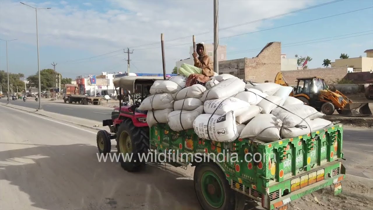 What makes Bikaner a unique desert city in Rajasthan?