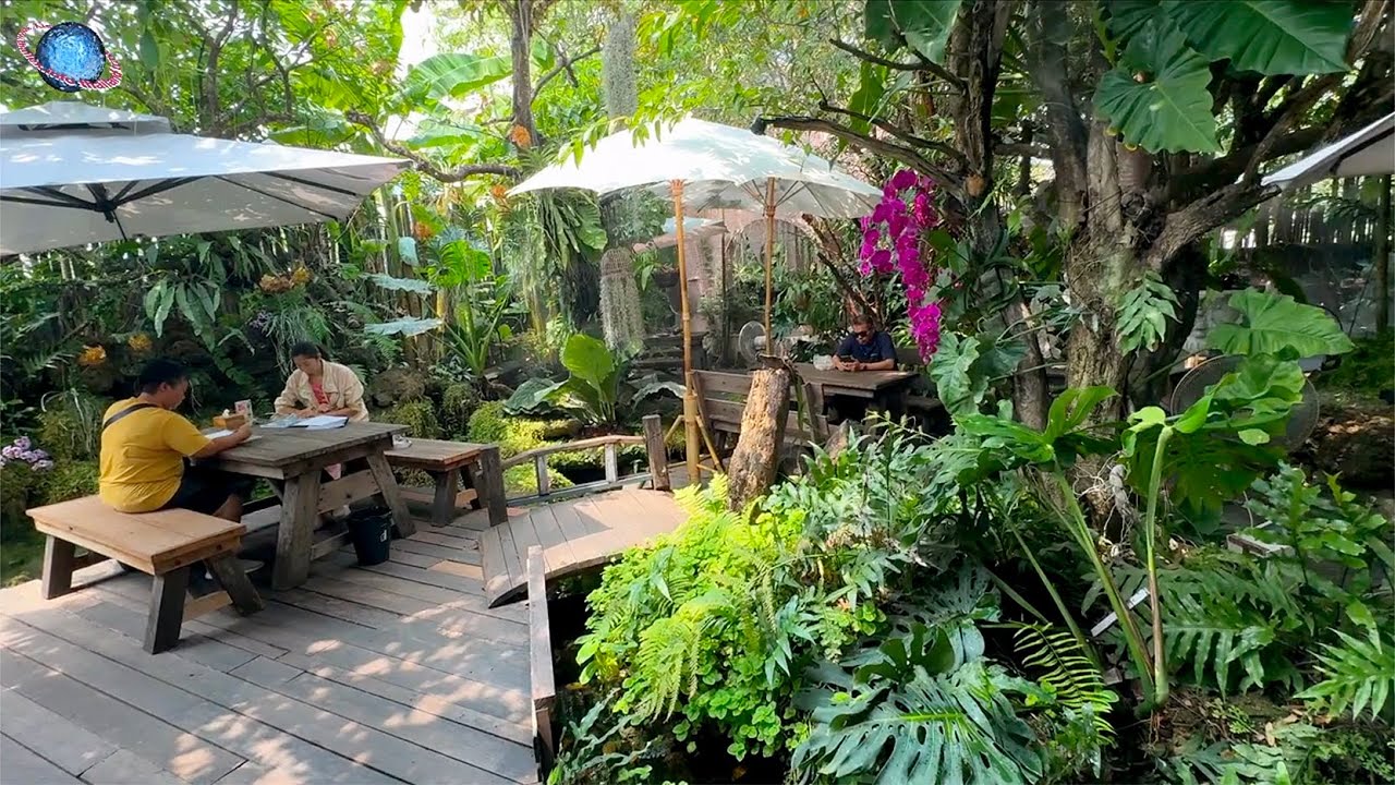 🇹🇭 THAILEX VDO Ban Suan Sathorn: A Green Oasis in the Heart of Bangkok