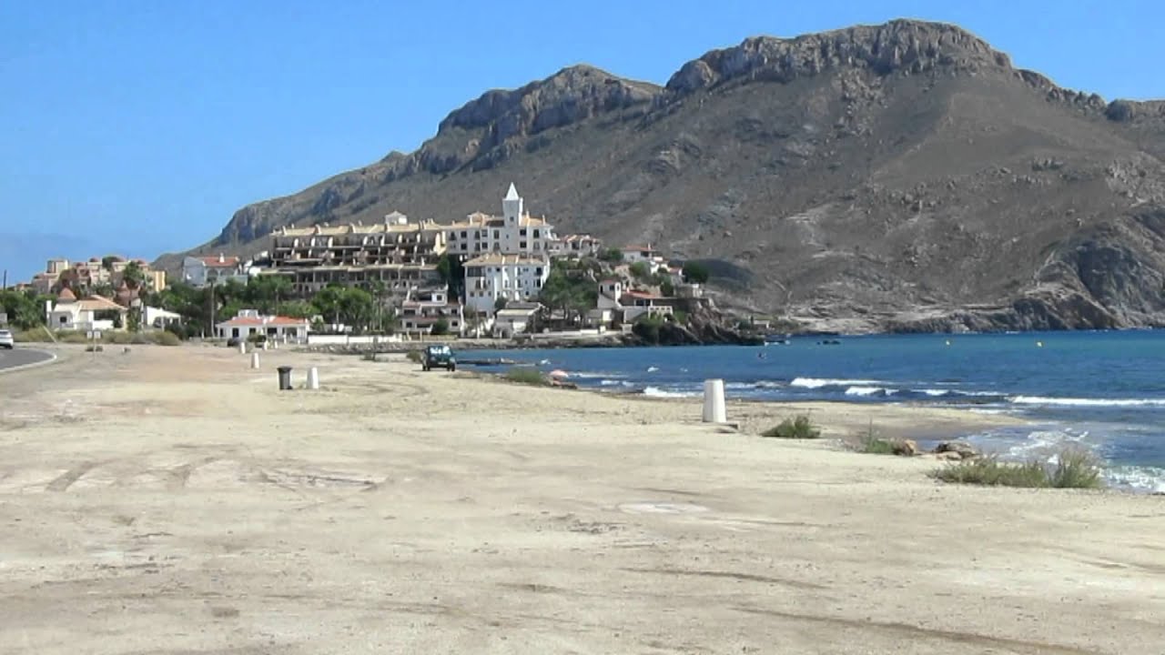 Calabardina