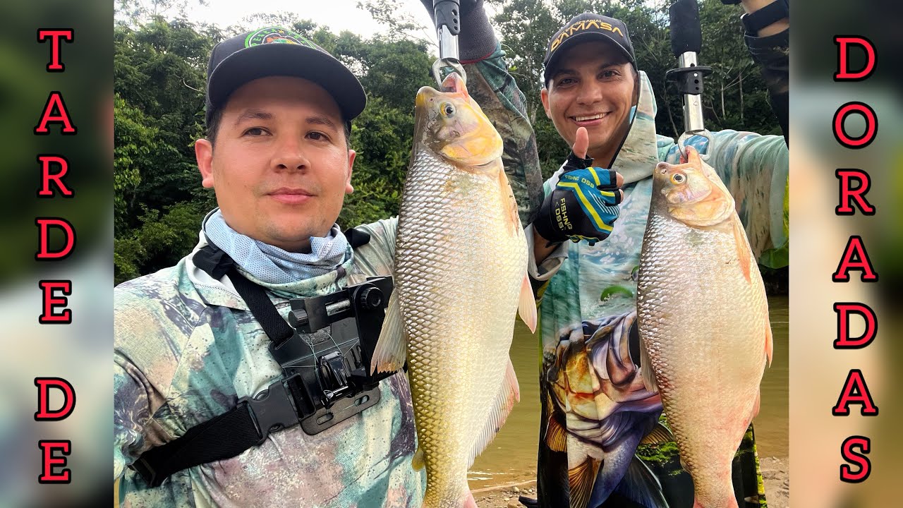 TARDE DE DORADAS 🎣