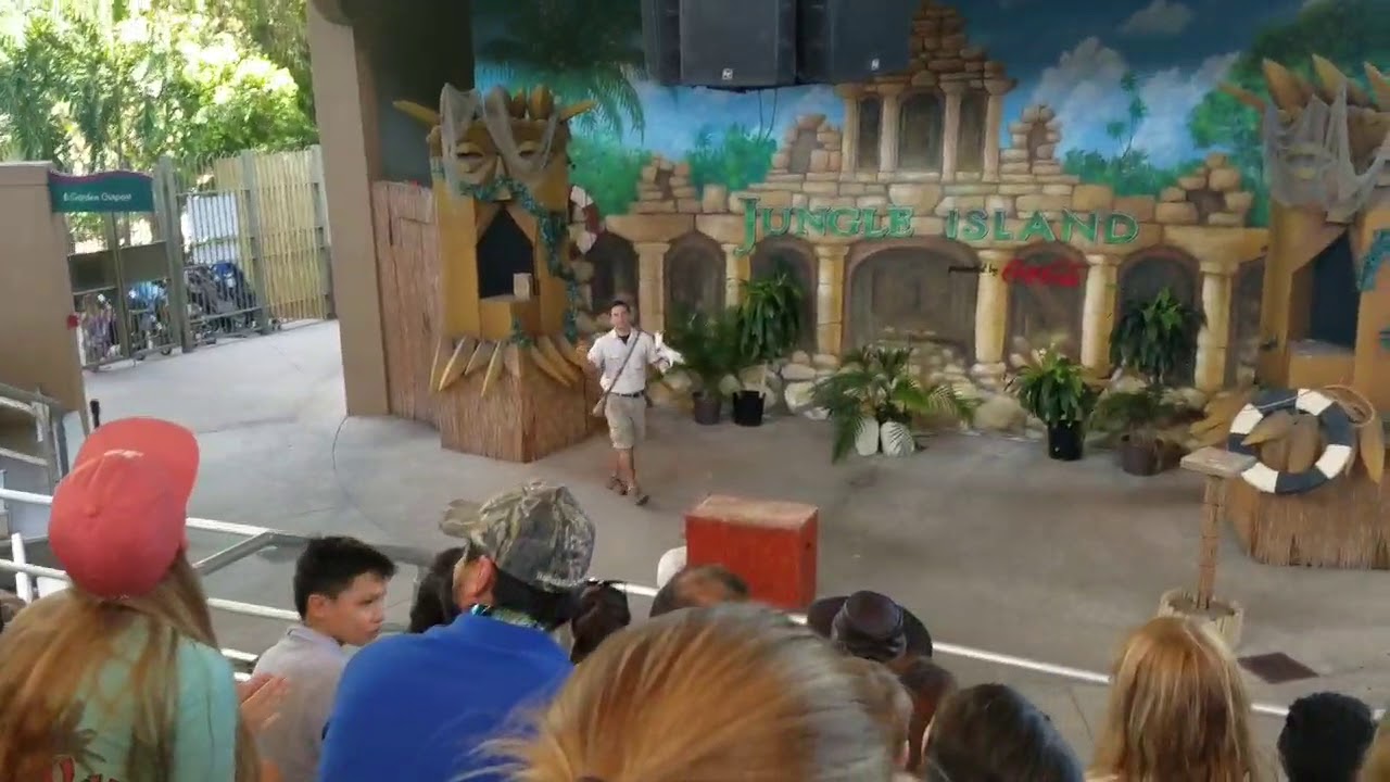 Bird show at Jungle Island