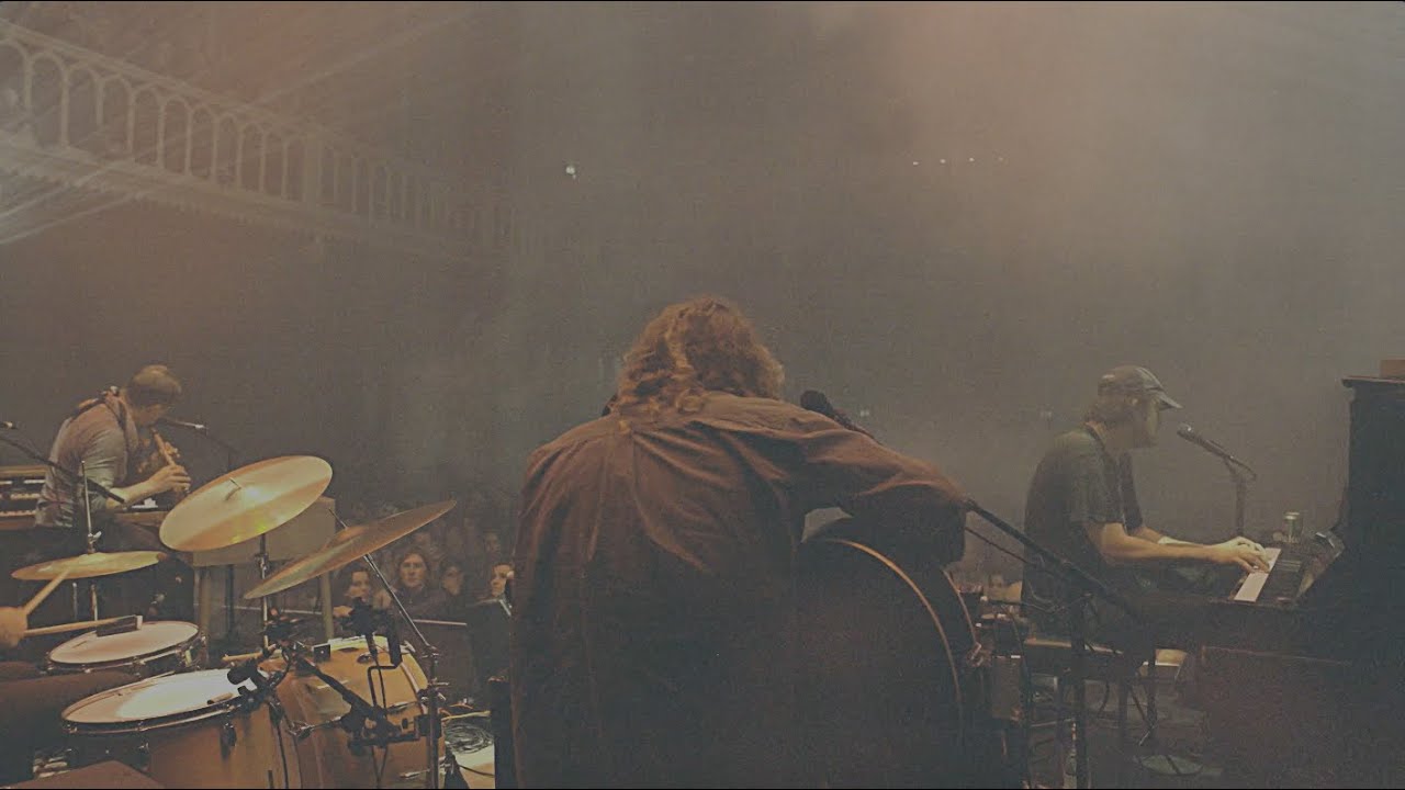 Daniel Norgren - Why May I Not Go Out And Climb The Trees? (Live)