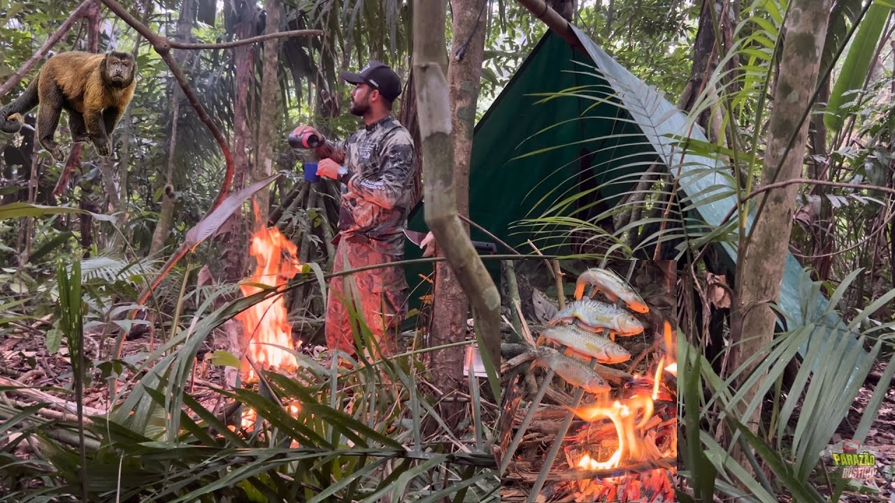 MUITA ATIVIDADE ANIMAL PR&Oacute;XIMA AO ACAMPAMENTO&hellip;FIZ TRILHA MUITA DESCOBERTA E MUITA FARTURA!