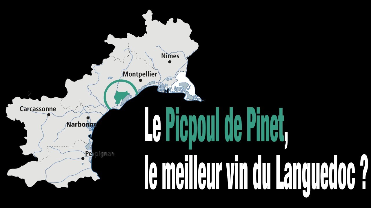 Le Picpoul de Pinet, le meilleur vin du Languedoc ?
