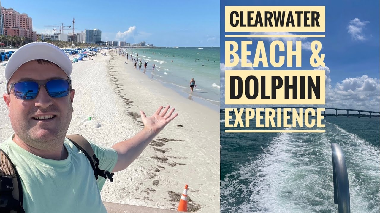 Clearwater Beach Florida / Dolphin Experience