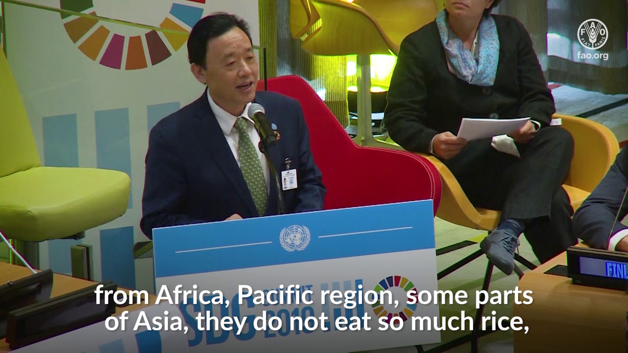 FAO Director-General speech at the SDG summit