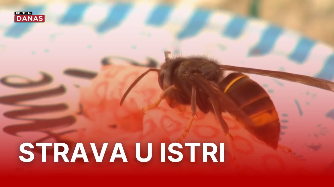 Ovi se simptomi ne smiju ignorirati, a policija šalje upozorenje | RTL Danas