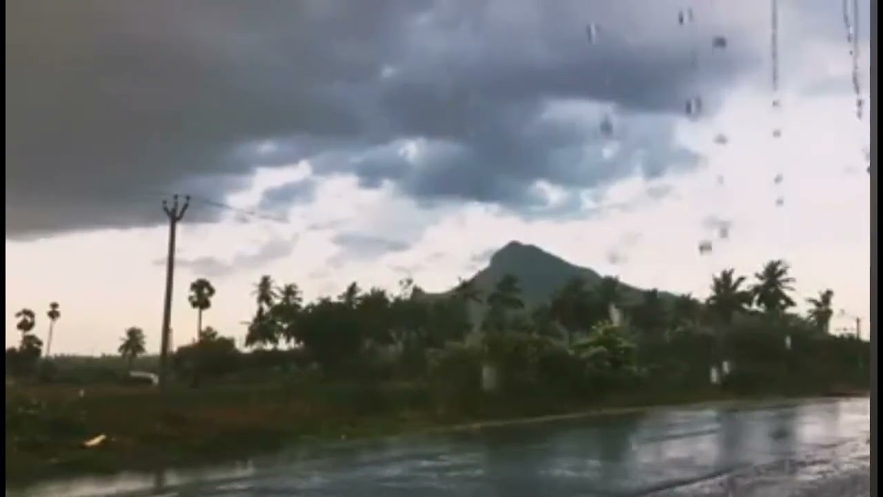 Dubai life #dubaivlogs the nature