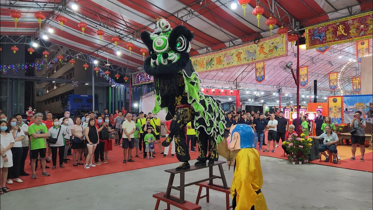 新加坡恩隍文化團醒獅表演 Singapore Yan Wong Cultural Troupe Lion Dance Cai Qing Performance at 天聖壇 on 14/10/22