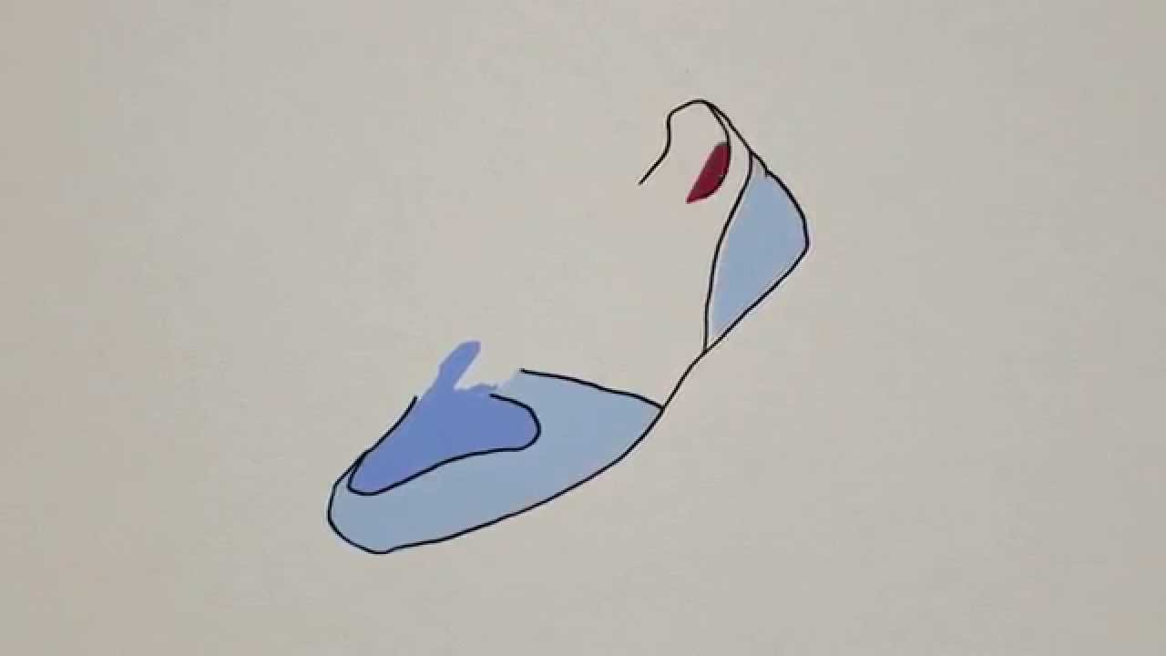 adidas Originals - Quote’s Archive / ZX 420 Quotoole / The Book